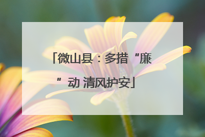 微山县：多措“廉”动 清风护安