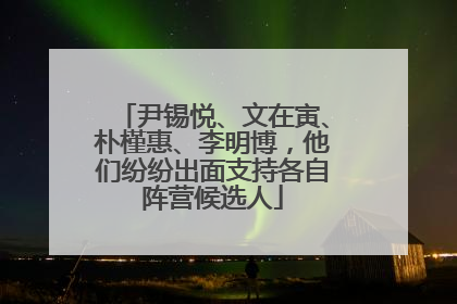尹锡悦、文在寅、朴槿惠、李明博，他们纷纷出面支持各自阵营候选人