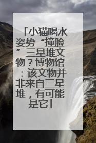 小猫喝水姿势“撞脸”三星堆文物？博物馆：该文物并非来自三星堆，有可能是它