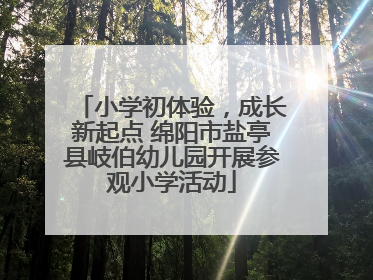 小学初体验，成长新起点 绵阳市盐亭县岐伯幼儿园开展参观小学活动