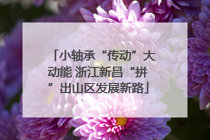 小轴承“传动”大动能 浙江新昌“拼”出山区发展新路