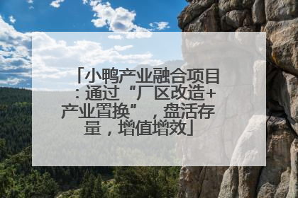 小鸭产业融合项目：通过“厂区改造+产业置换”，盘活存量，增值增效