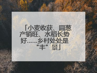 小麦收获、圆葱产销旺、水稻长势好……乡村处处是“丰”景