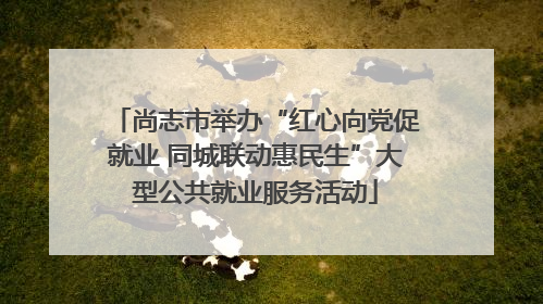 尚志市举办“红心向党促就业 同城联动惠民生”大型公共就业服务活动