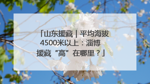 山东援藏｜平均海拔4500米以上：淄博援藏“高”在哪里？