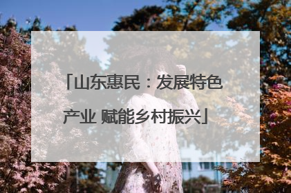 山东惠民：发展特色产业 赋能乡村振兴