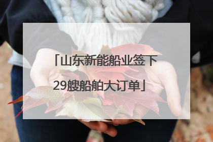 山东新能船业签下29艘船舶大订单