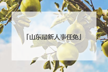 山东最新人事任免
