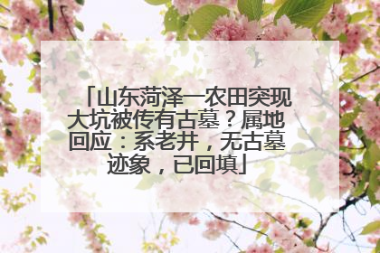山东菏泽一农田突现大坑被传有古墓？属地回应：系老井，无古墓迹象，已回填