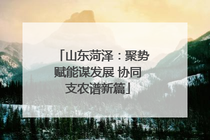 山东菏泽：聚势赋能谋发展 协同支农谱新篇