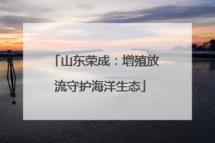 山东荣成：增殖放流守护海洋生态