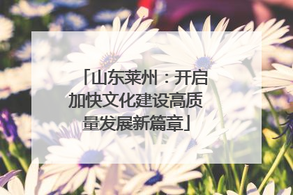山东莱州：开启加快文化建设高质量发展新篇章
