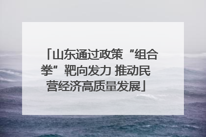 山东通过政策“组合拳”靶向发力 推动民营经济高质量发展