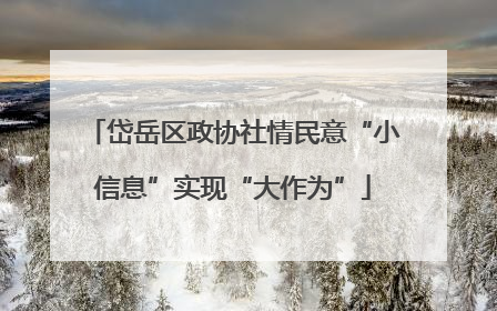 岱岳区政协社情民意“小信息”实现“大作为”