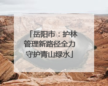 岳阳市：护林管理新路径全力守护青山绿水