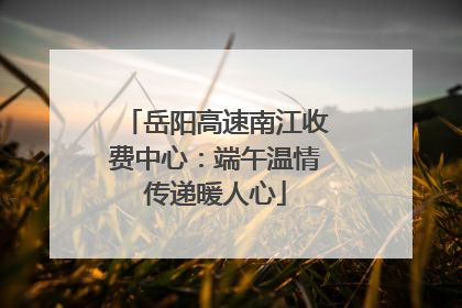 岳阳高速南江收费中心：端午温情传递暖人心