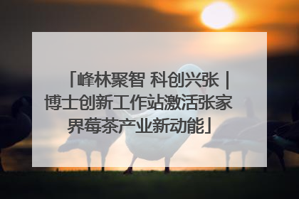峰林聚智 科创兴张｜博士创新工作站激活张家界莓茶产业新动能
