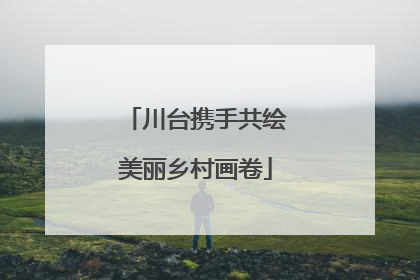 川台携手共绘美丽乡村画卷