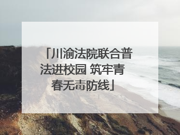 川渝法院联合普法进校园 筑牢青春无毒防线