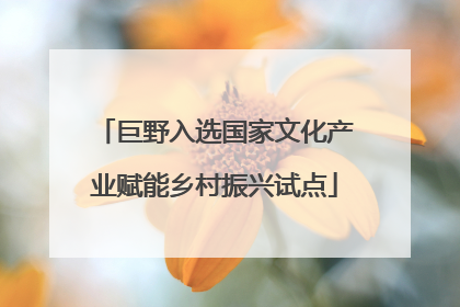 巨野入选国家文化产业赋能乡村振兴试点
