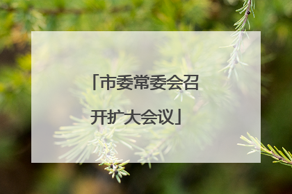 市委常委会召开扩大会议