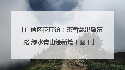 广信区花厅镇：茶香飘出致富路 绿水青山绘新篇（图）