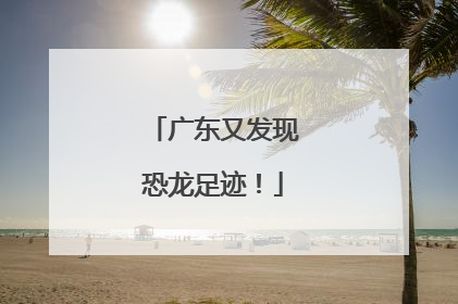 广东又发现恐龙足迹！