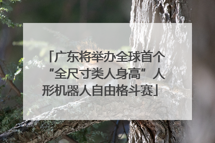 广东将举办全球首个“全尺寸类人身高”人形机器人自由格斗赛