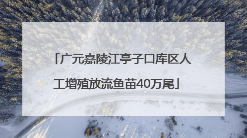 广元嘉陵江亭子口库区人工增殖放流鱼苗40万尾