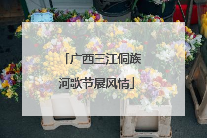 广西三江侗族河歌节展风情