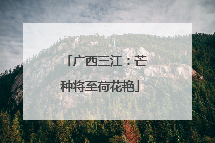 广西三江：芒种将至荷花艳