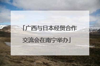 广西与日本经贸合作交流会在南宁举办