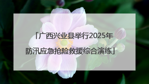 广西兴业县举行2025年防汛应急抢险救援综合演练