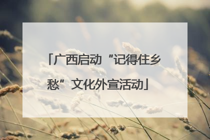 广西启动“记得住乡愁”文化外宣活动