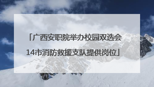 广西安职院举办校园双选会 14市消防救援支队提供岗位