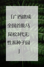 广西建成全国首批马尾松3代无性系种子园