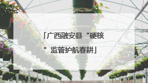 广西融安县“硬核”监管护航春耕