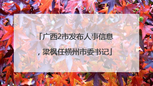 广西2市发布人事信息，梁枫任横州市委书记