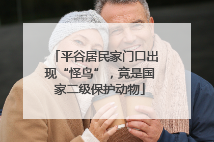 平谷居民家门口出现“怪鸟”，竟是国家二级保护动物