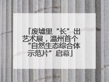 废墟里“长”出艺术展，温州首个“自然生态综合体示范片”启幕