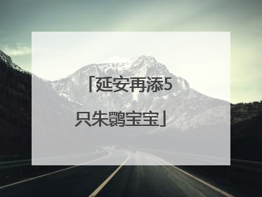 延安再添5只朱鹮宝宝