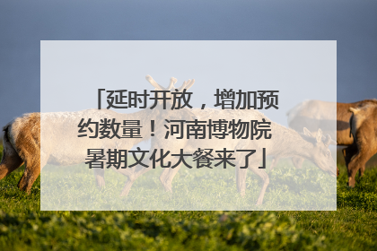 延时开放，增加预约数量！河南博物院暑期文化大餐来了
