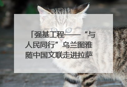 强基工程——“与人民同行”乌兰图雅随中国文联走进拉萨 庆祝西藏自治区成立60周年