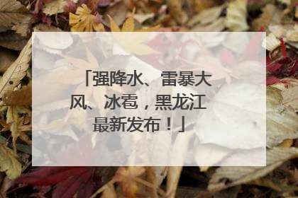 强降水、雷暴大风、冰雹，黑龙江最新发布！