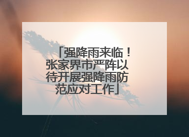 强降雨来临！张家界市严阵以待开展强降雨防范应对工作