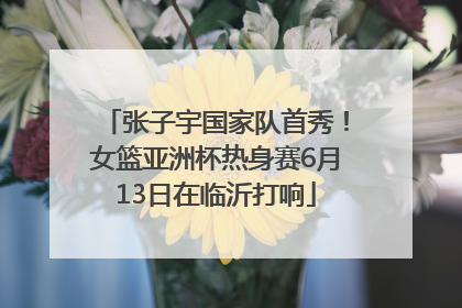 张子宇国家队首秀！女篮亚洲杯热身赛6月13日在临沂打响