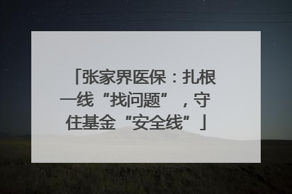 张家界医保：扎根一线“找问题”，守住基金“安全线”