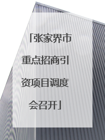 张家界市重点招商引资项目调度会召开