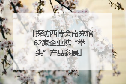 探访西博会南充馆 62家企业携“拳头”产品参展
