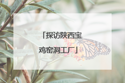 探访陕西宝鸡窑洞工厂